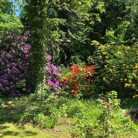 Ferienhaus Hudemuehlen Keine Monteure Hodenhagen Bagian luar foto