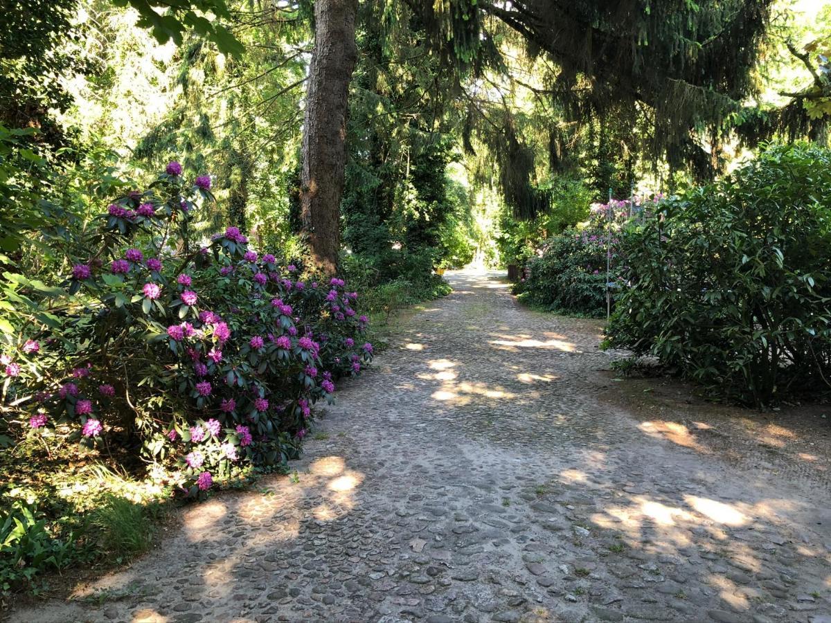 Ferienhaus Hudemuehlen Keine Monteure Hodenhagen Bagian luar foto
