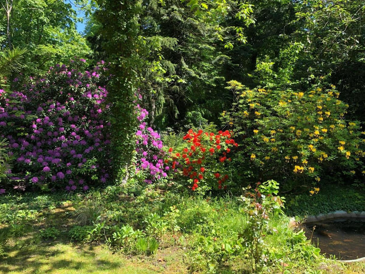 Ferienhaus Hudemuehlen Keine Monteure Hodenhagen Bagian luar foto